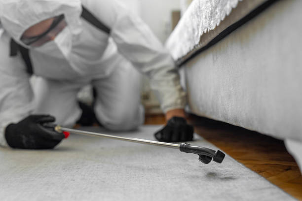 Professional Termite Control technician working in Good Hope, CA