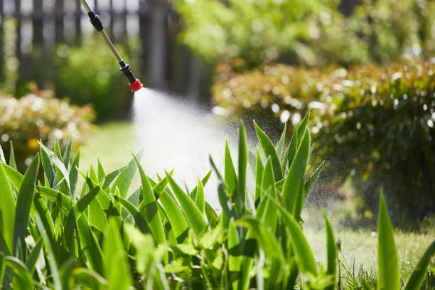24/7 Emergency Termite Control experts in Good Hope, CA